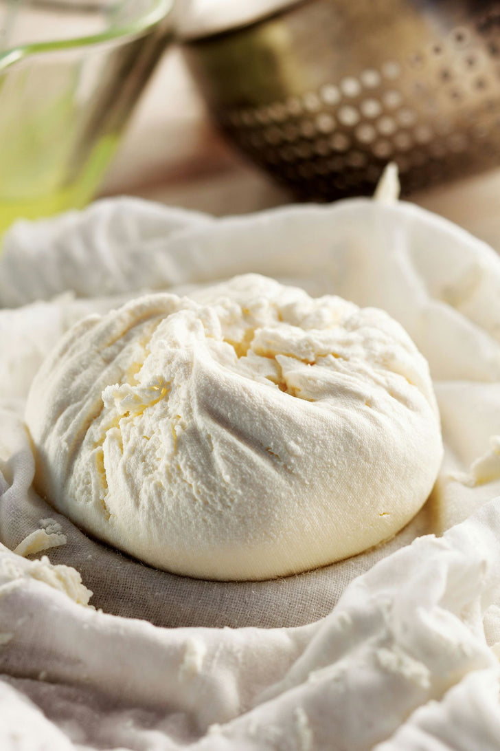 Cheese Making Workshop: Make your own Mozzarella