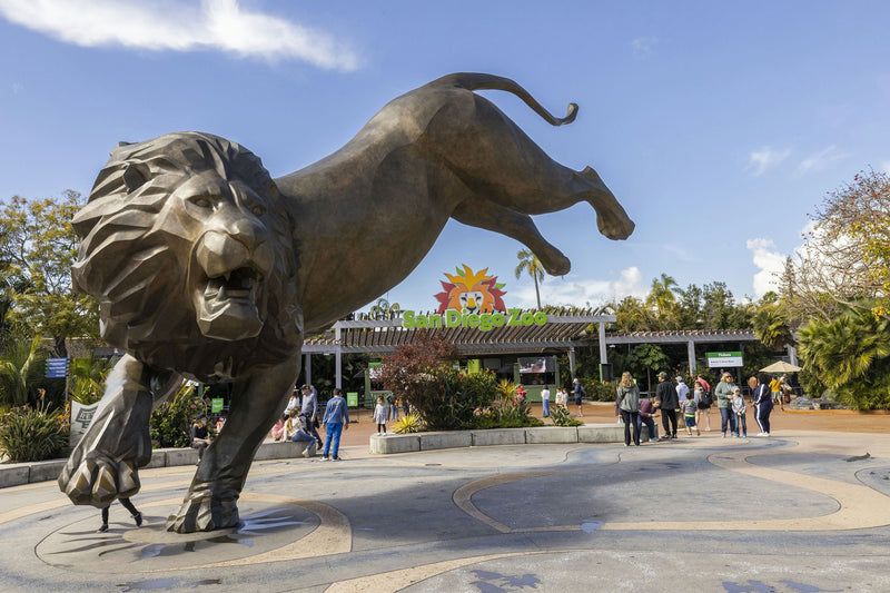 Giftory San Diego Zoo 1 Day Pass