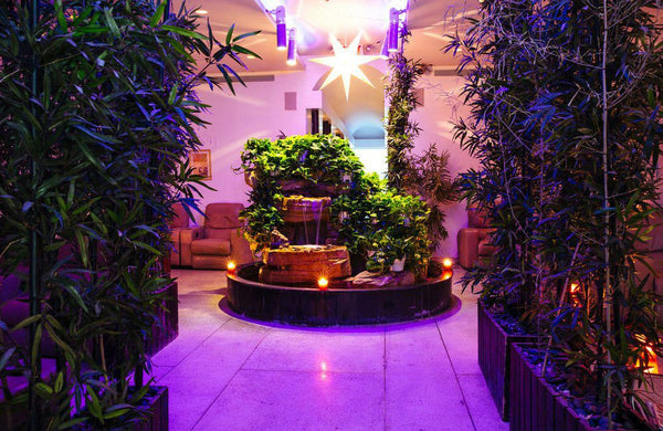 garden-lobby