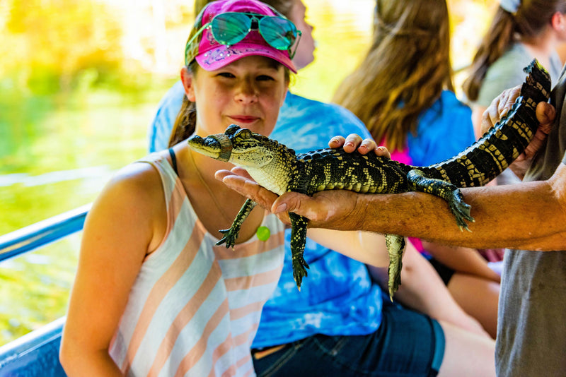 girl-looking-at-gator