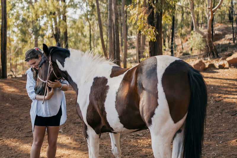 girl-with-horse-jpg