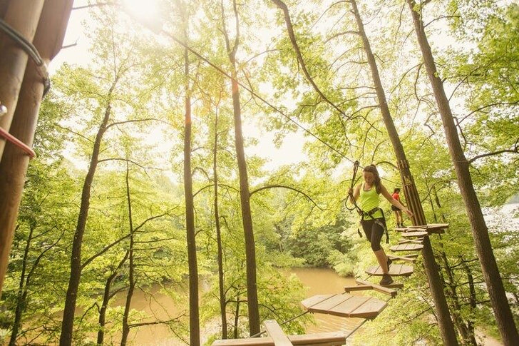 Chicago Zipline & Treetop Adventure with Go Ape