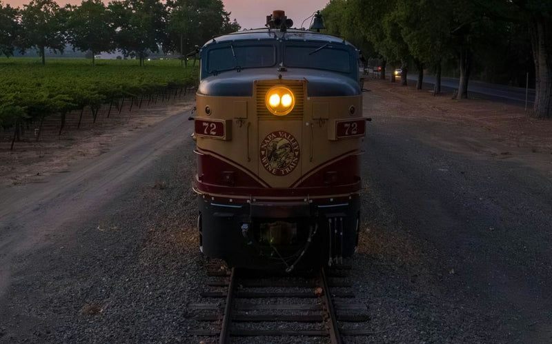 gourmet-express-dinner-weekday-train-jpg