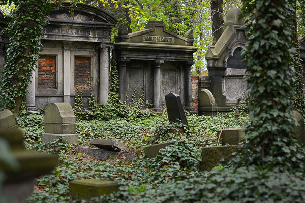 graveyard covered in kudzu