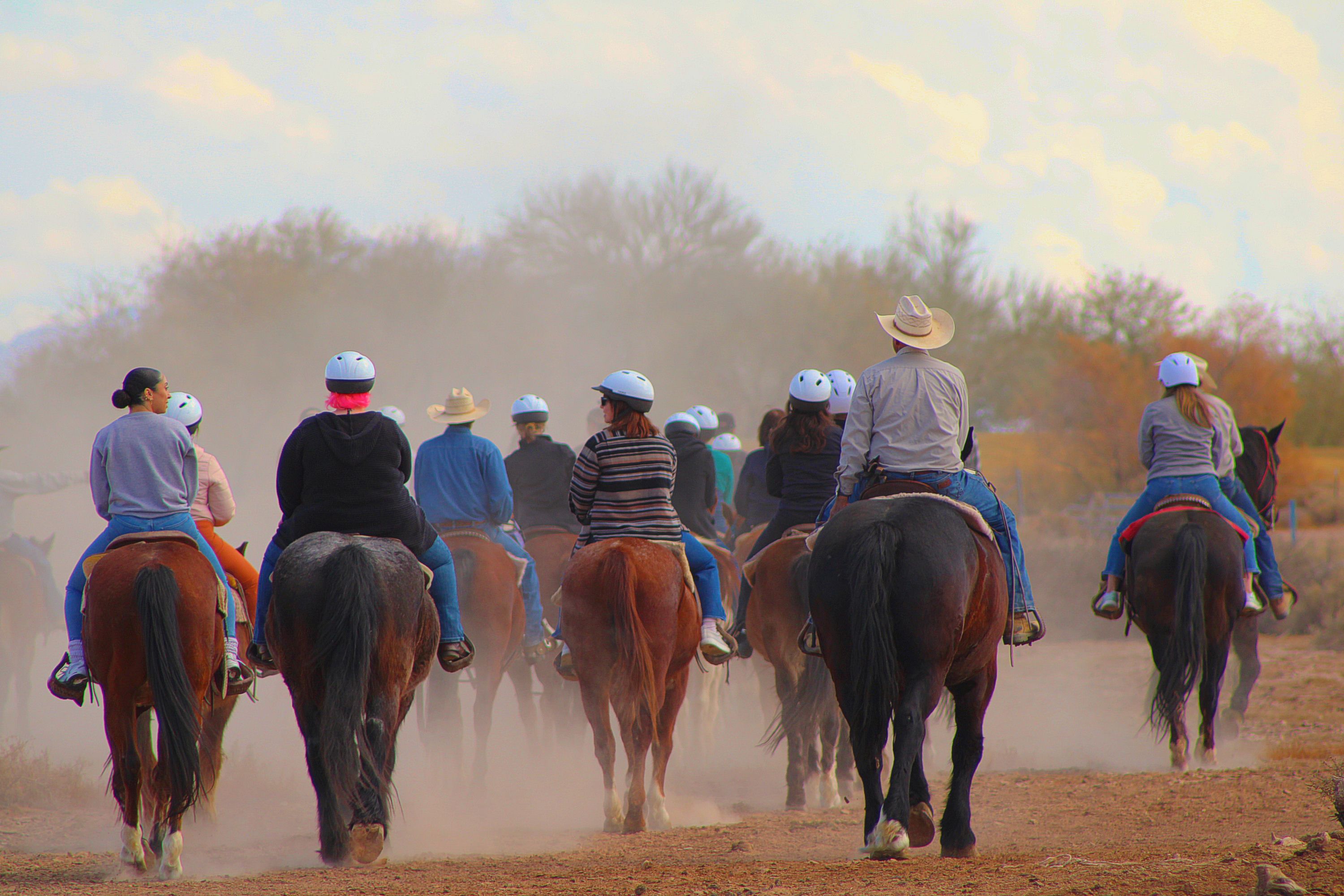 Serene Sunrise Horseback Ride | Chandler | Arizona | Giftory