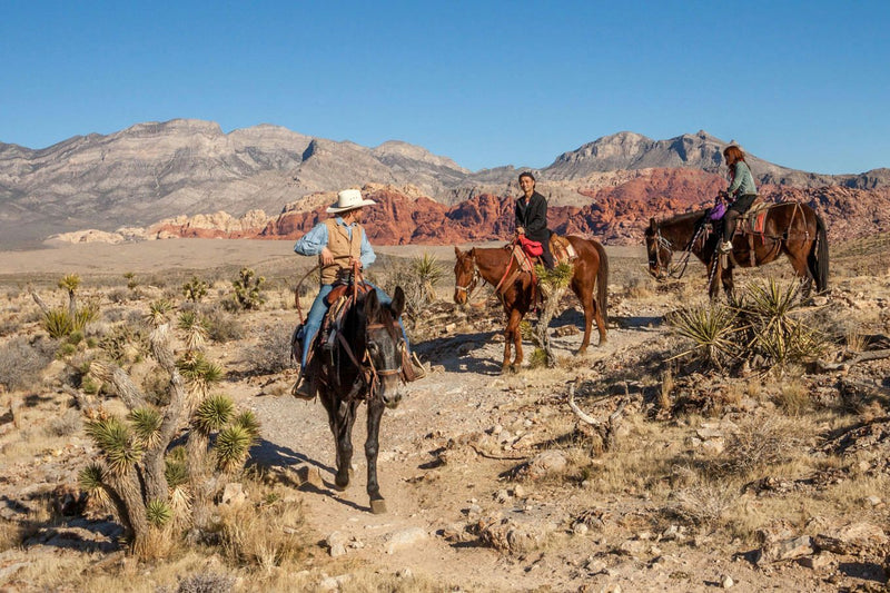group-of-horseback-riders