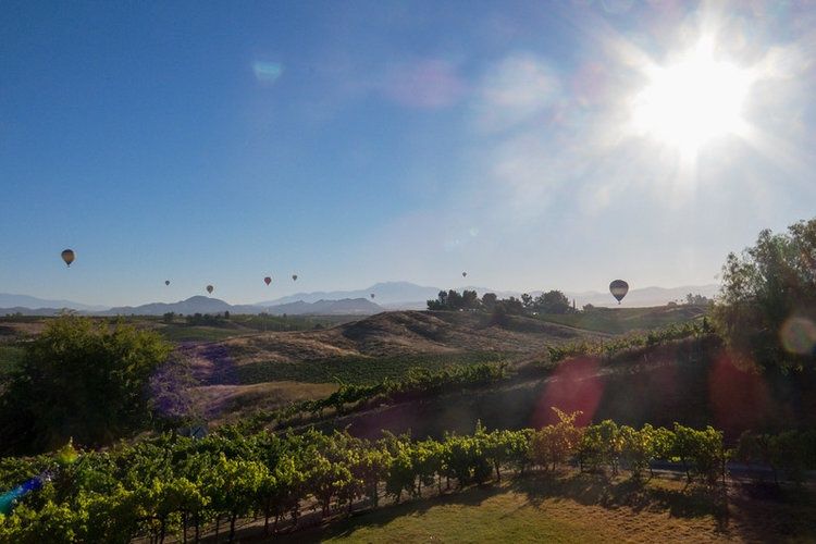 group-of-hot-air-balloons-riding-over-sunset