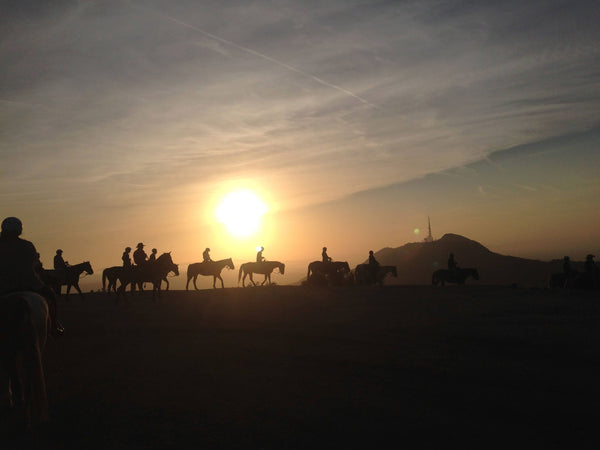 Group riding with sunset