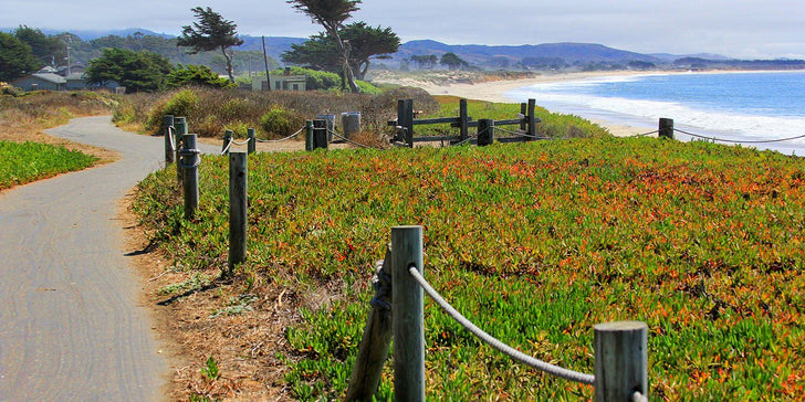 Half Moon Bay Family Mystery Picnic