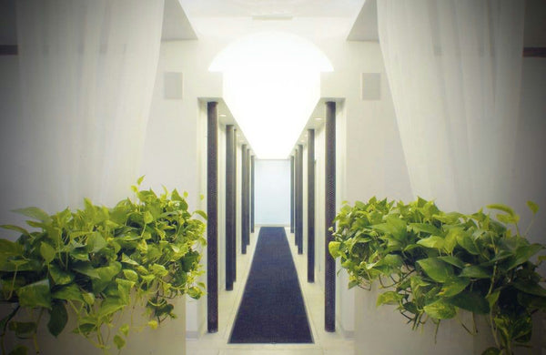 hall-jpg