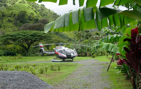 Hana Rainforest Landing.JPG