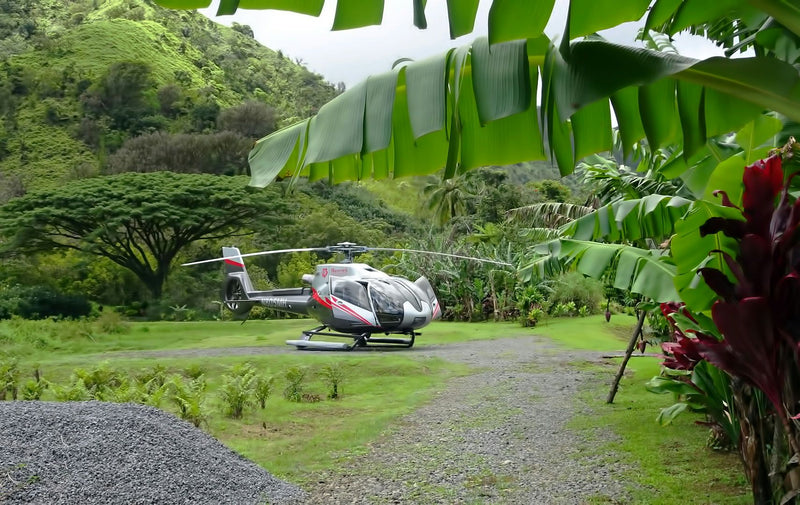 Hana Rainforest Landing.JPG
