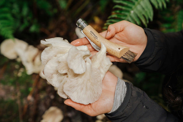 handdling-mushrooms