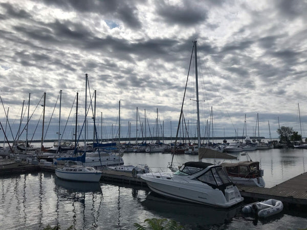 harbor with many boats