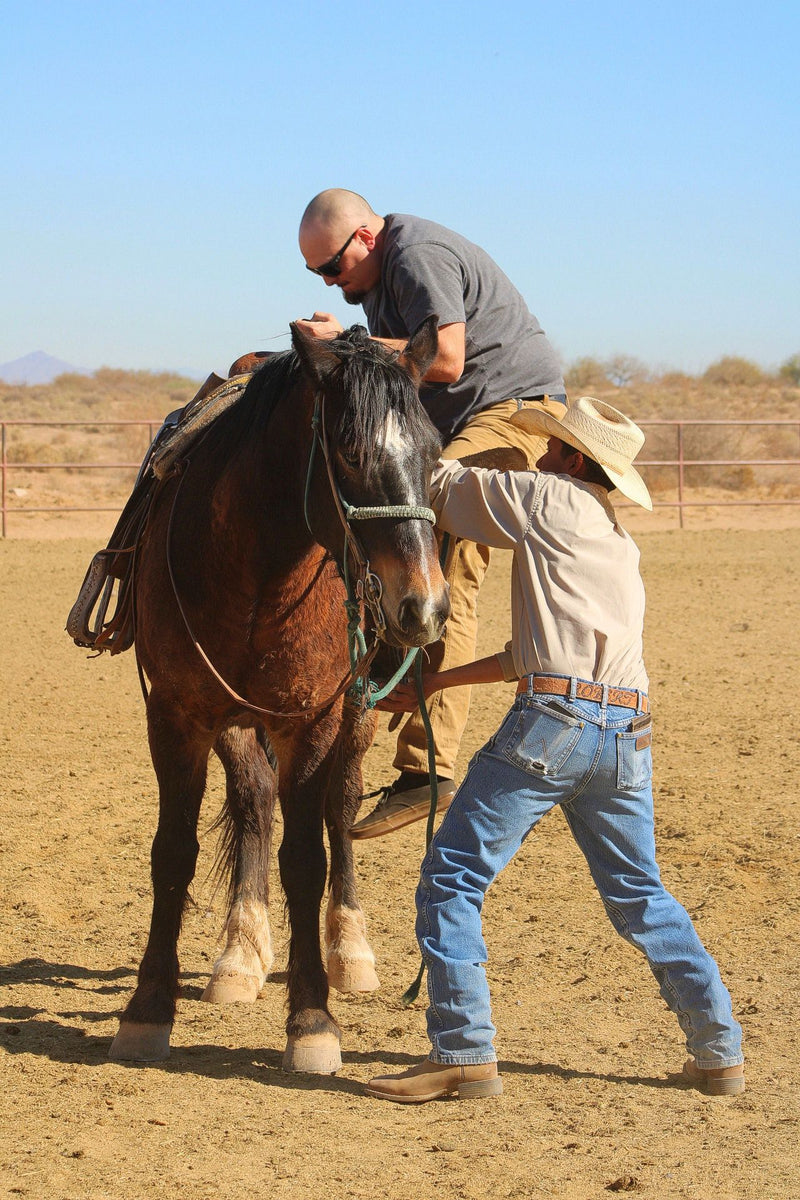 helping-get-on-the-horse