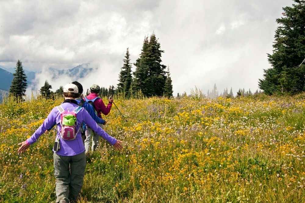 hikers-in-field