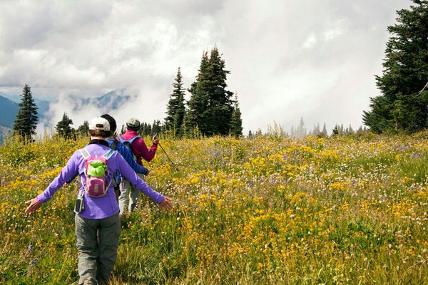 hikers-in-field