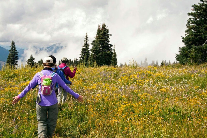 hikers-in-field