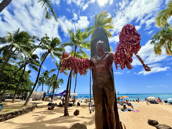 Tacos on Hawaii tour