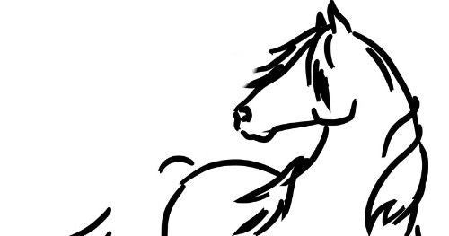 1 Hour Horse Ranch Visitor Pass