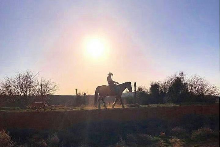 horseback-rider-with-the-sun