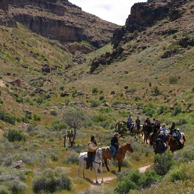 horseback-riding-line