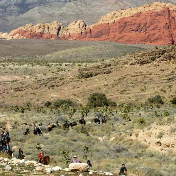 horseback-riding-lineup