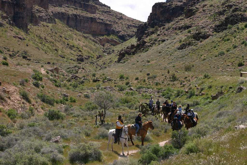 horseback-riding-through-desert