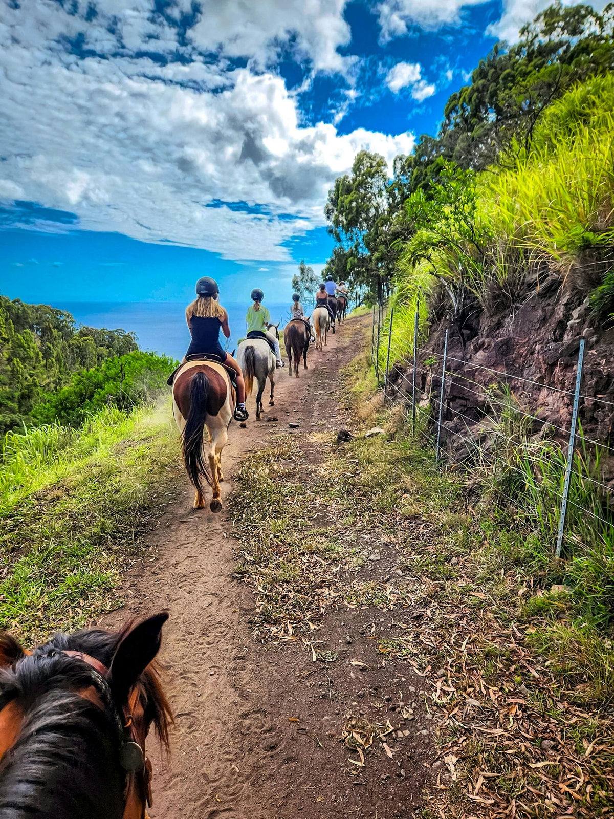 horseback-trail-ride-jpg