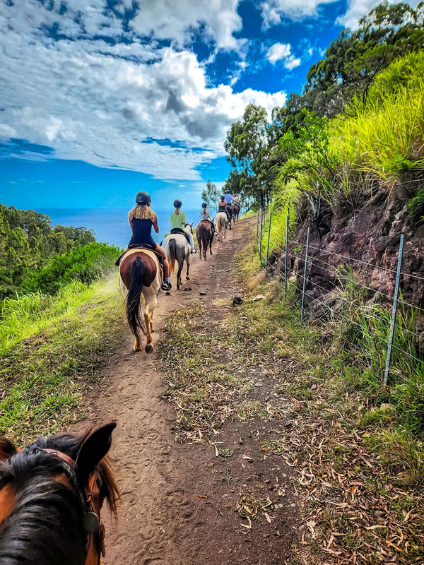 horseback-trail-ride-jpg