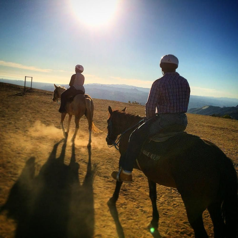 horses-walking-uphill