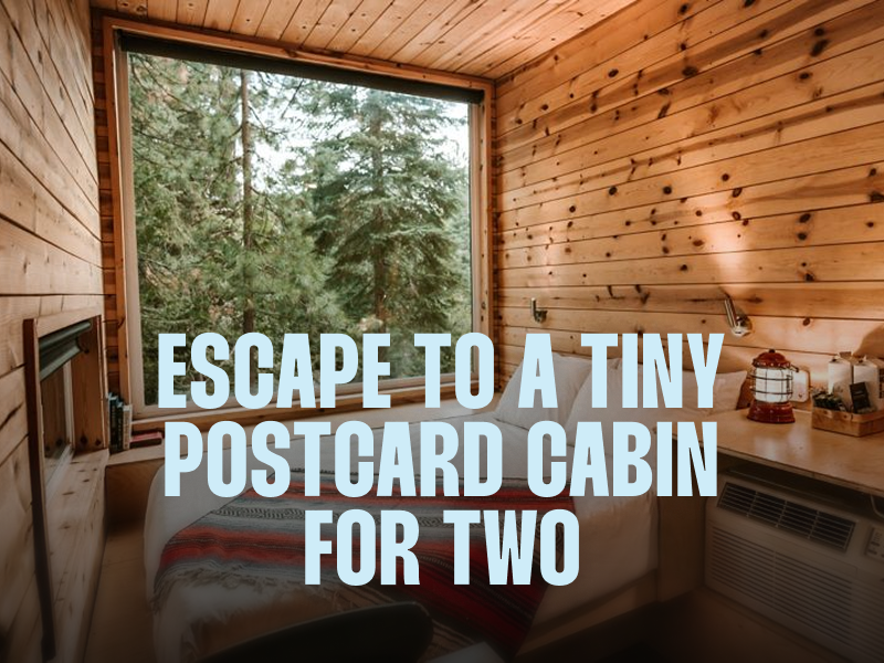 Hotel Images Postcard Cabin.png