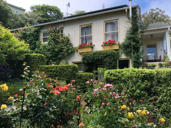 house with beautiful front garden