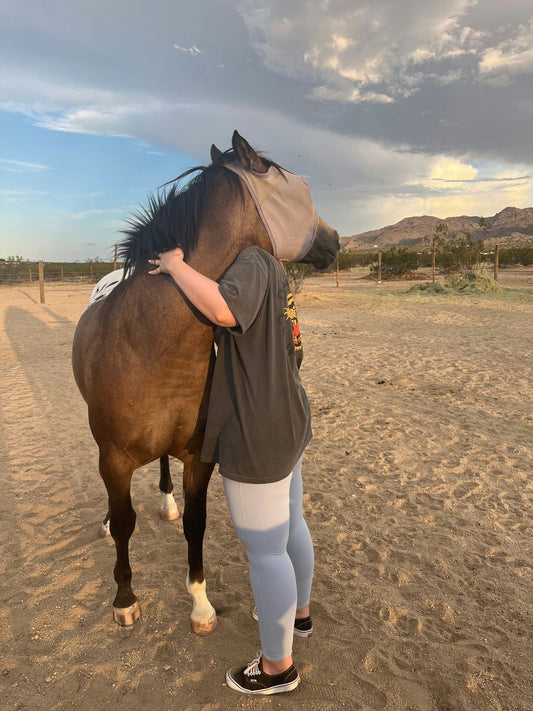 hugging a horse.jpeg