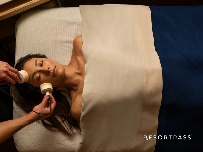 hyatt-regency-huntington-beach-biologique-custom-facial-spa-pass-biologique-facial-hero-logo.jpg
