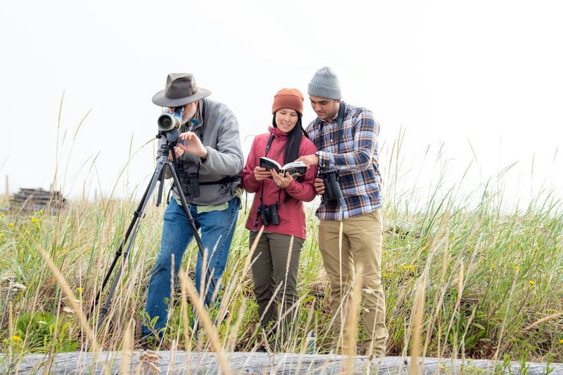 in-field-discovering