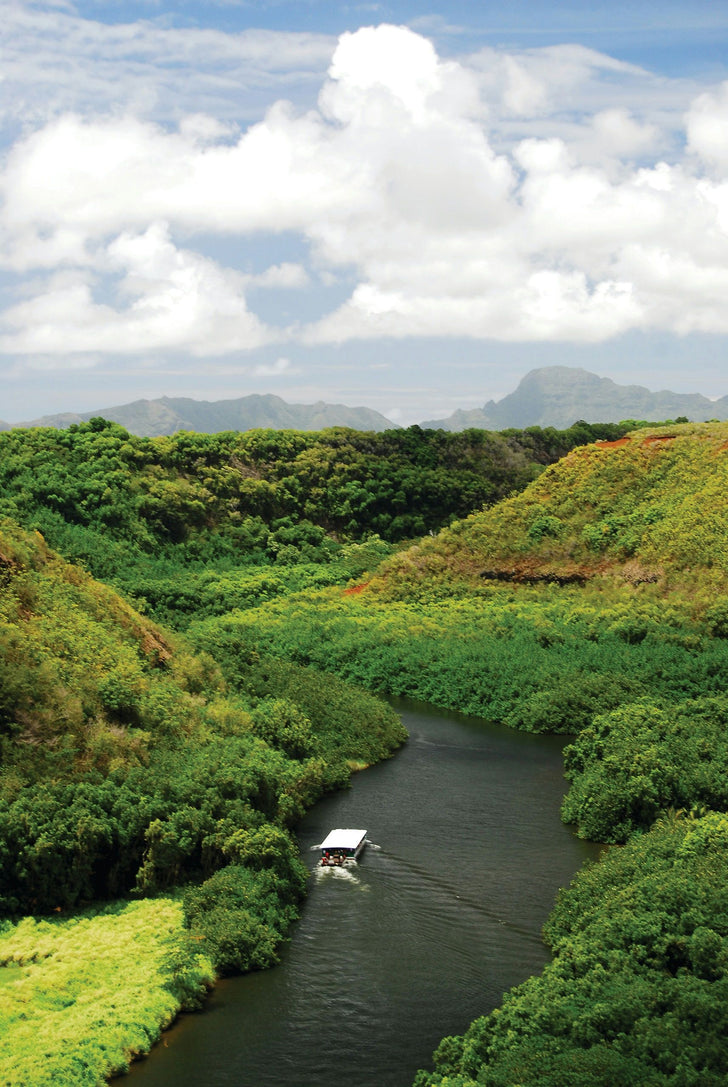 Kaua'i Waimea Canyon & Wailua River Tour