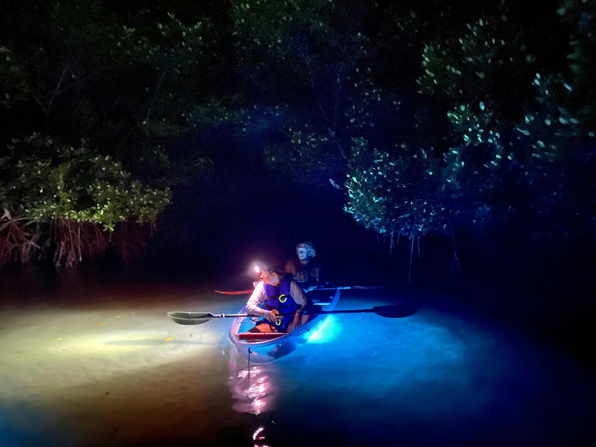 kayakers-at-night-with-lights-jpeg