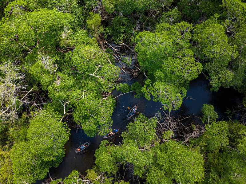kayakers-from-above-jpeg