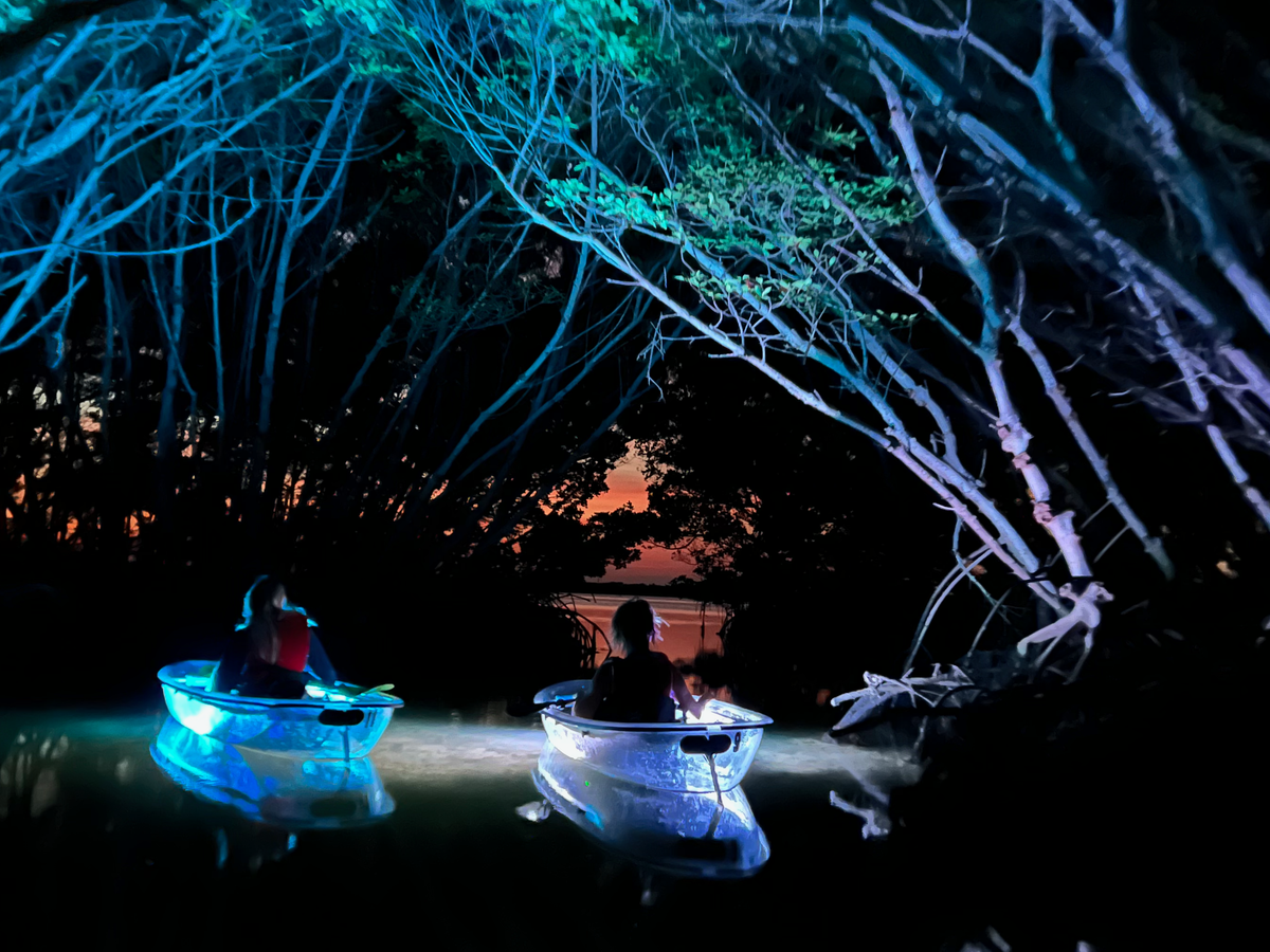 kayaks-with-lights-png