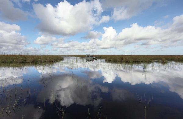 speeding airboat.jpeg