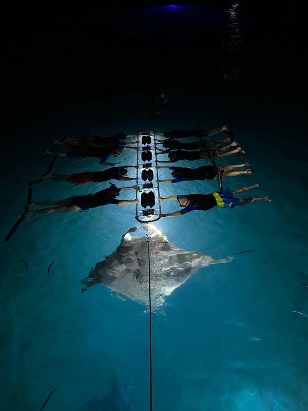 late-night-manta-ray-snorkel-group-holding-on-to-bar-jpeg