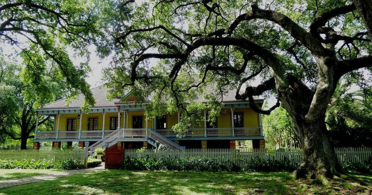 Laura Plantation & Airboat Ride Swamp Tour