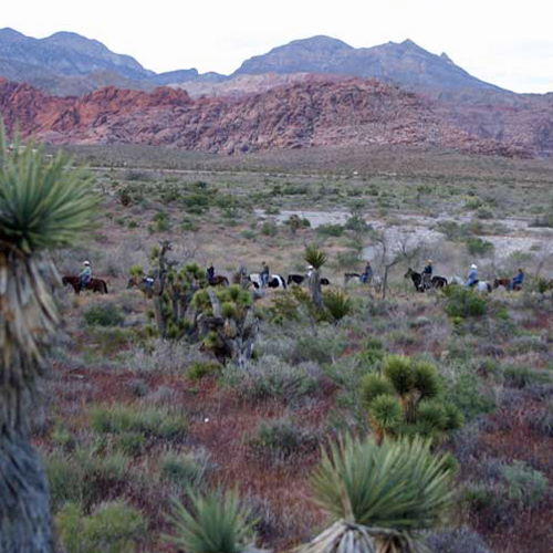 line-of-horseback-riders