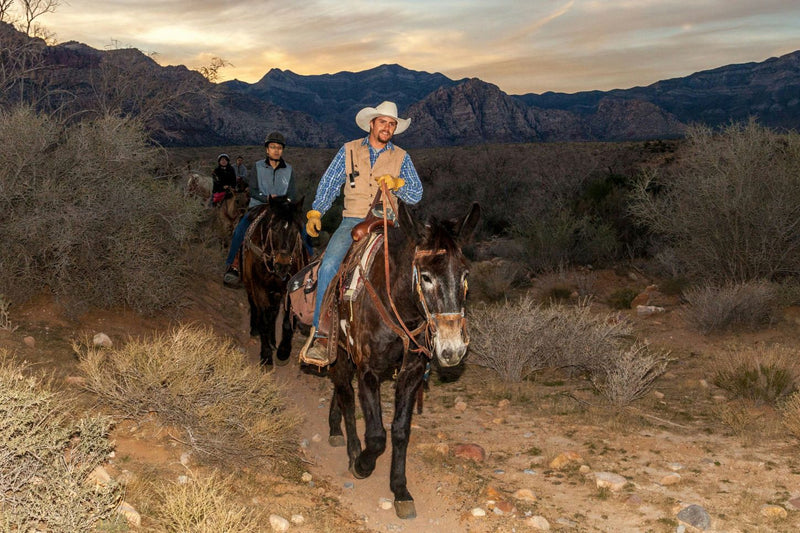 line-of-horseback-riders-at-sunset