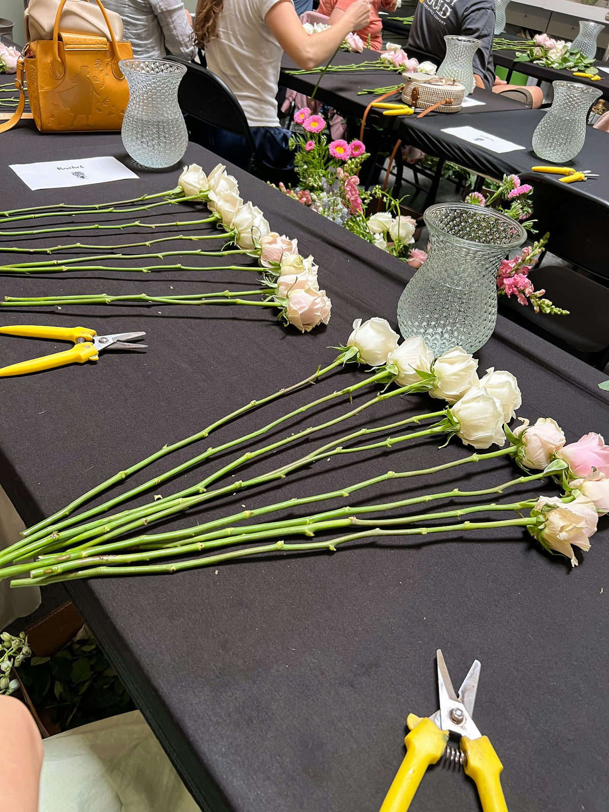lining-up-roses