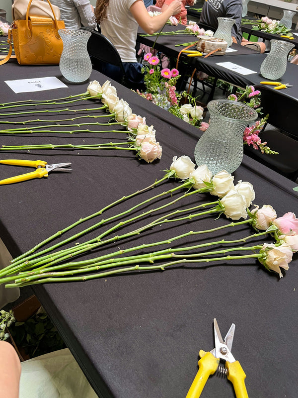 lining-up-roses