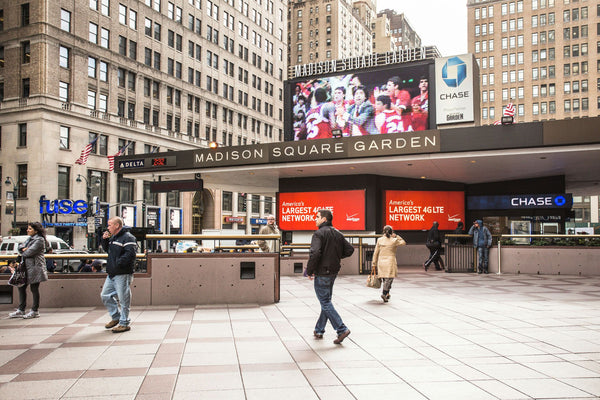 madison dquare garden