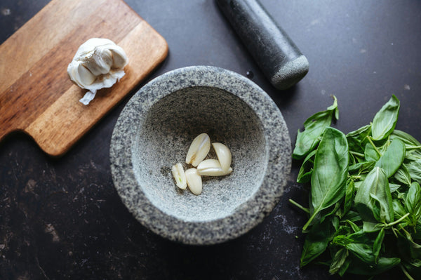 Group making pesto and noodles