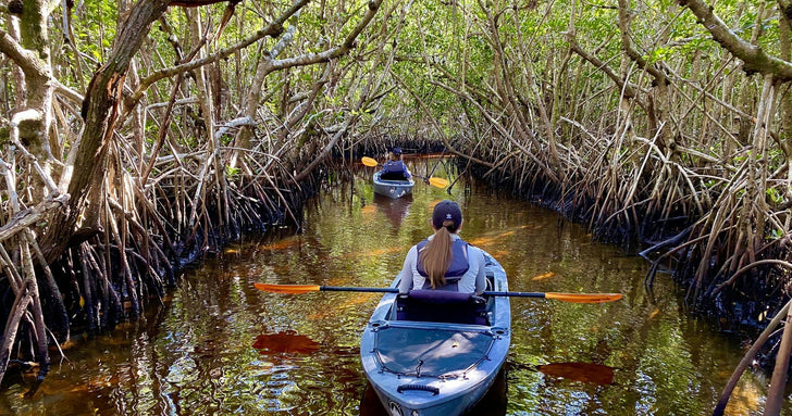 Manatees & Mangrove Tunnels Kayaking Tour in Naples